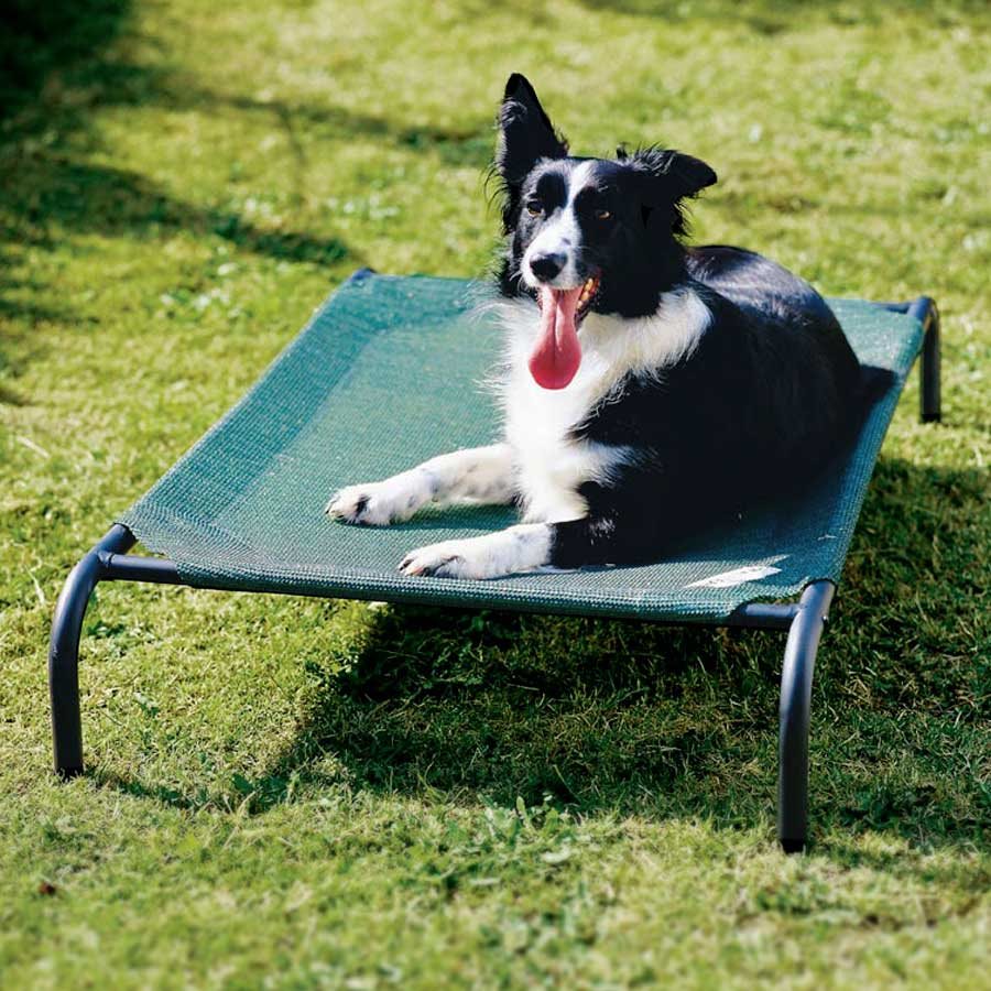 Cot Style Pet Bed Medium