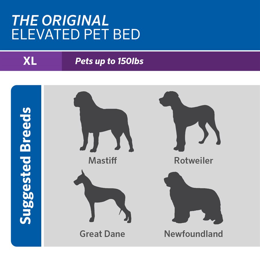 Original Elevated Pet Bed XLarge Grey