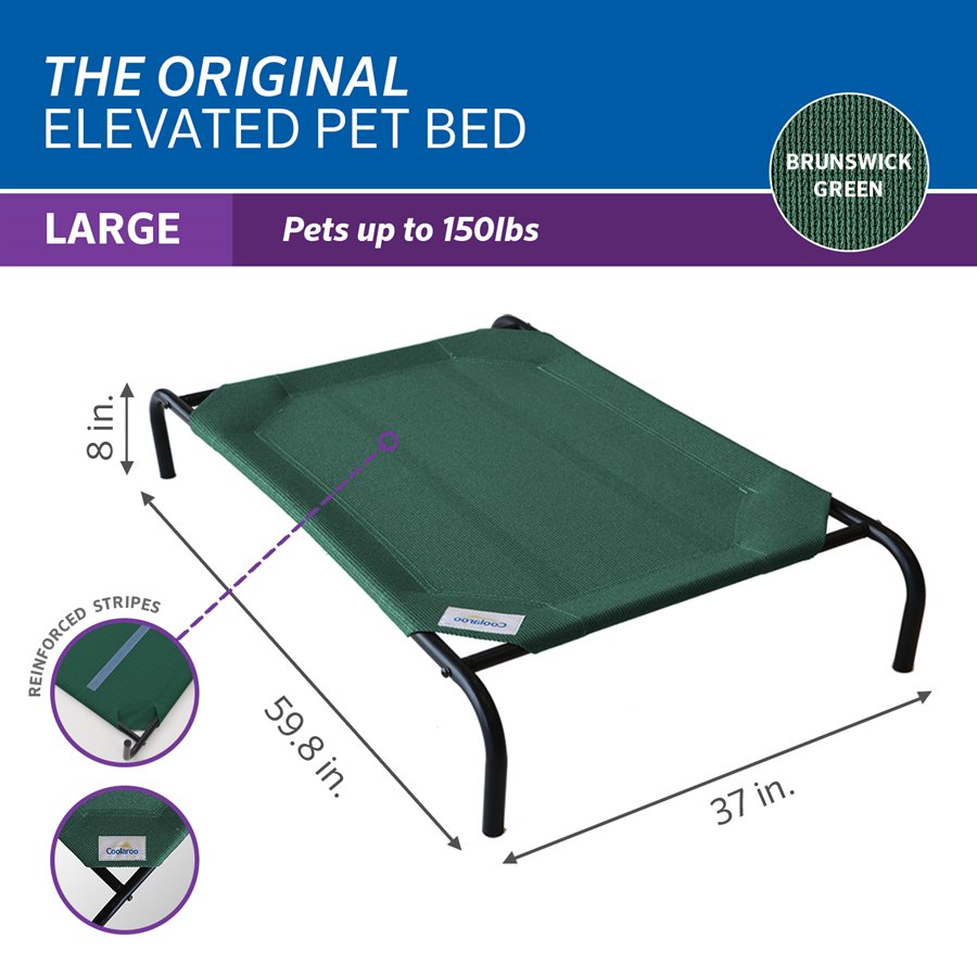 Original Elevated Pet Bed XLarge Brunswick Green