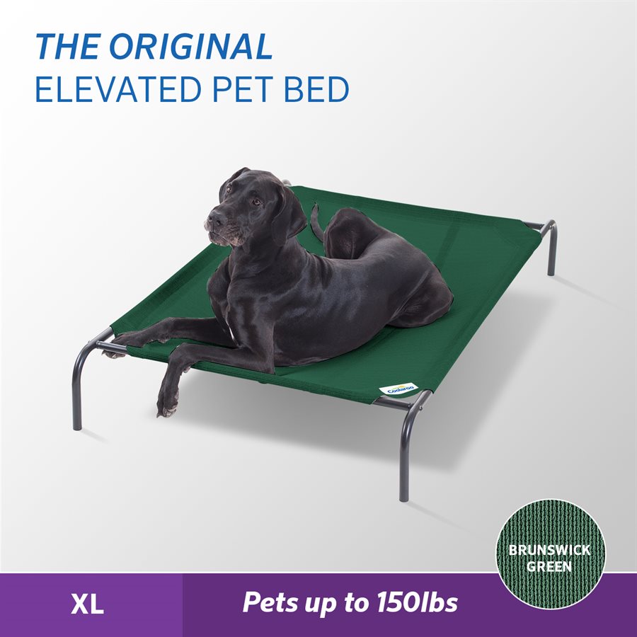 Original Elevated Pet Bed XLarge Brunswick Green