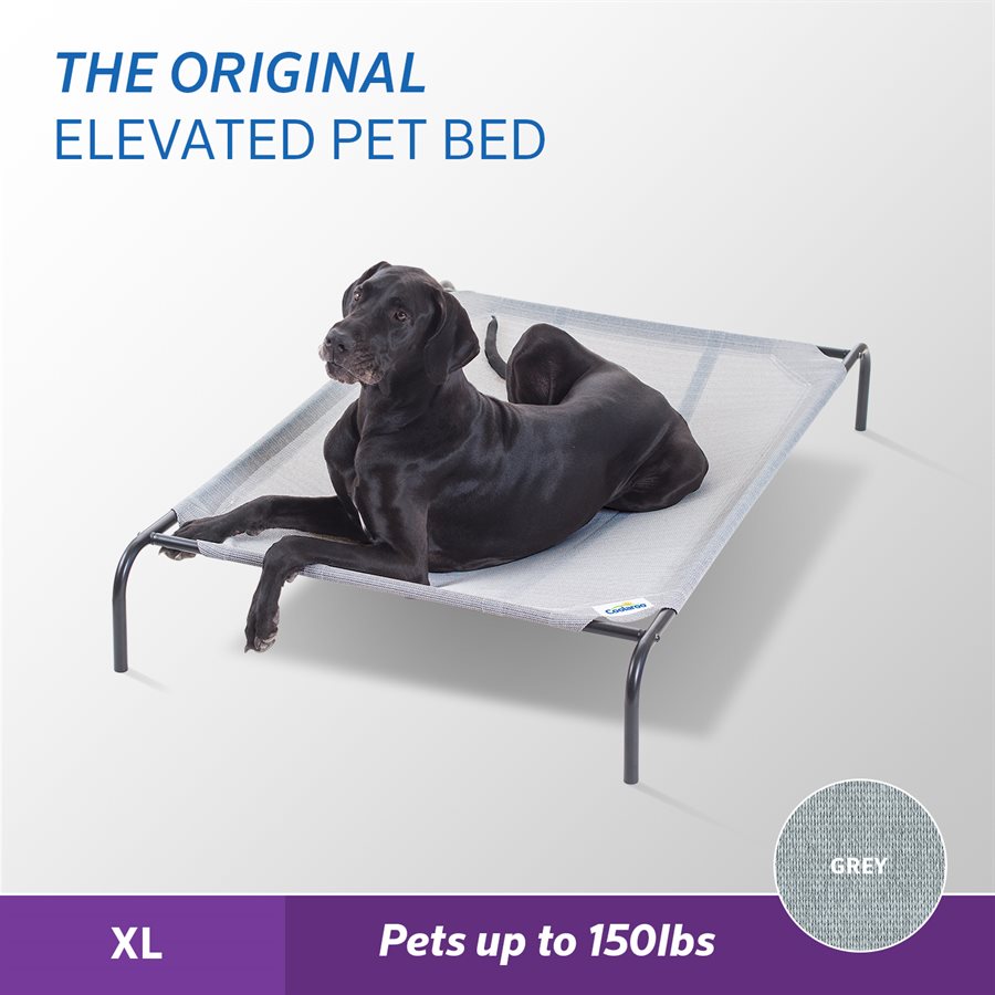 Original Elevated Pet Bed XLarge Grey